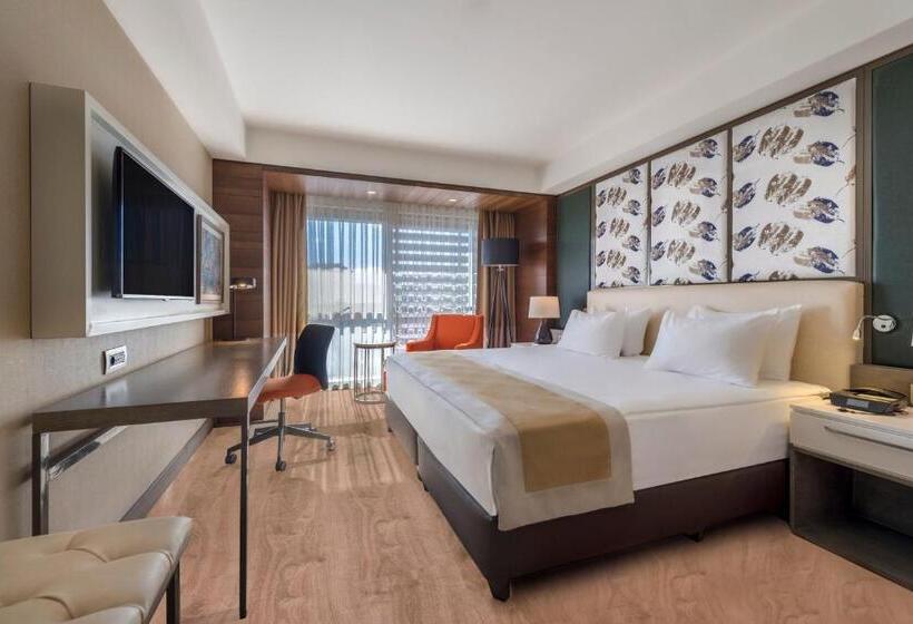 高级客房, Holiday Inn Kayseri   Duvenonu, An Ihg