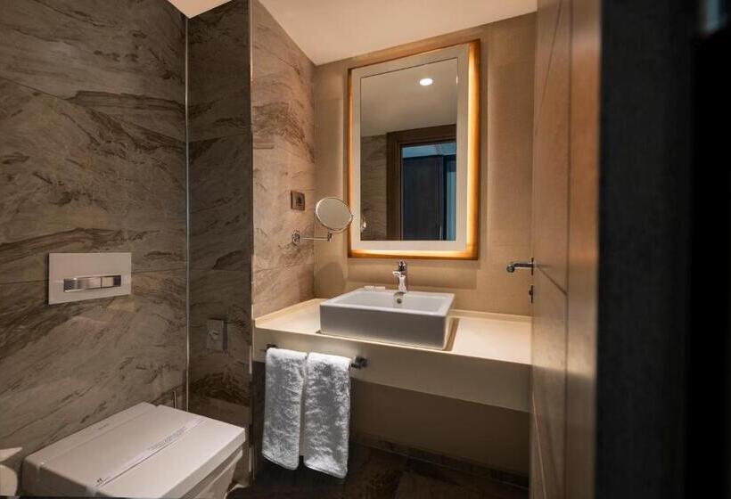 高级客房, Holiday Inn Kayseri   Duvenonu, An Ihg