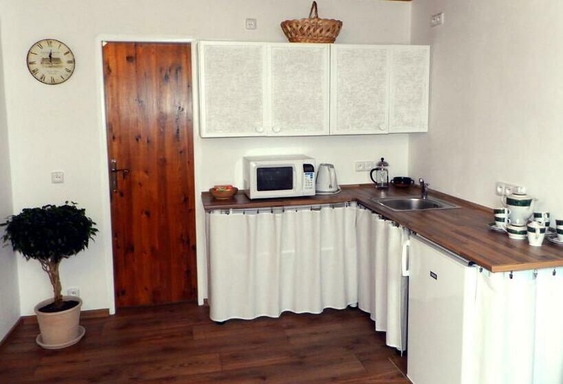 Апартаменты 1 Спальня, Penzion Bor