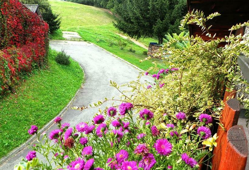 Апартаменты 1 Спальня, Penzion Bor