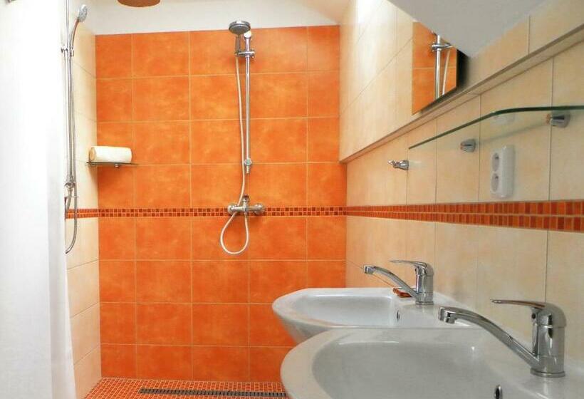 Апартаменты 1 Спальня, Penzion Bor