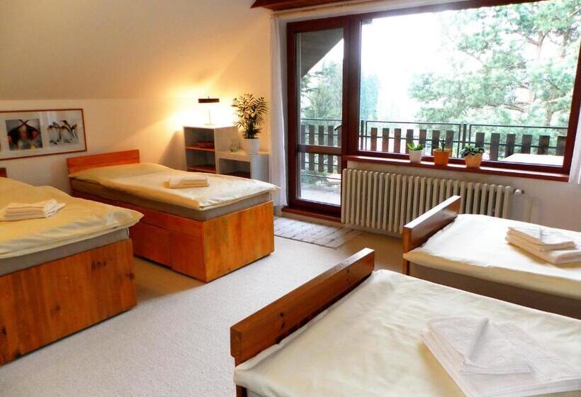 Апартаменты 1 Спальня, Penzion Bor