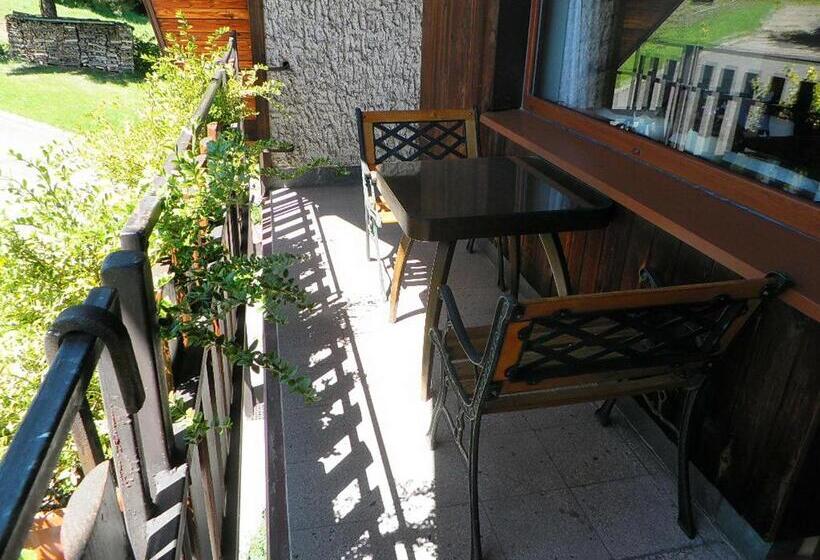 Апартаменты 1 Спальня, Penzion Bor