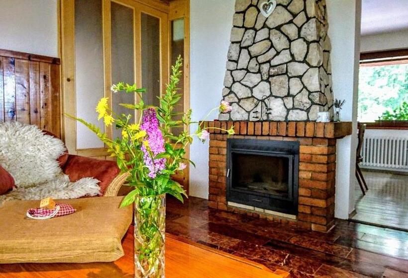 Апартаменты 2 Спальни с Балконом, Penzion Bor