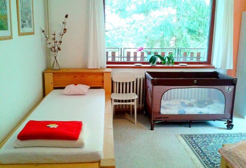 Апартаменты 2 Спальни с Балконом, Penzion Bor