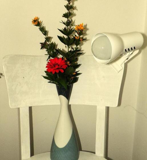 Апартаменты 2 Спальни с Балконом, Penzion Bor