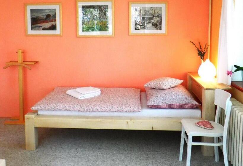 Апартаменты 2 Спальни с Балконом, Penzion Bor