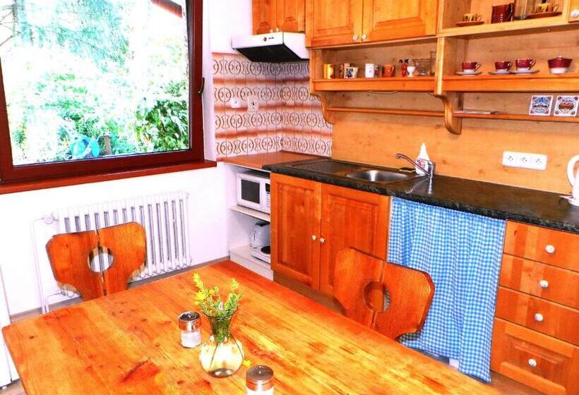 Апартаменты 2 Спальни с Балконом, Penzion Bor