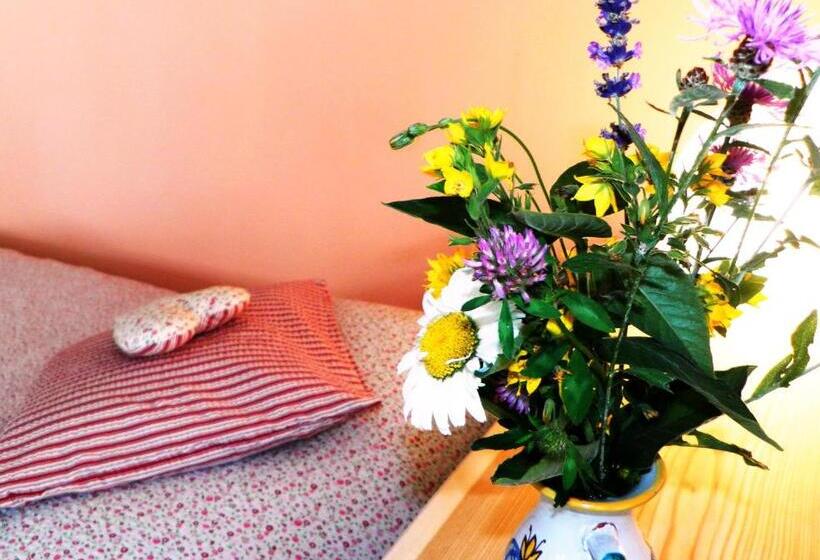 Апартаменты 2 Спальни с Балконом, Penzion Bor