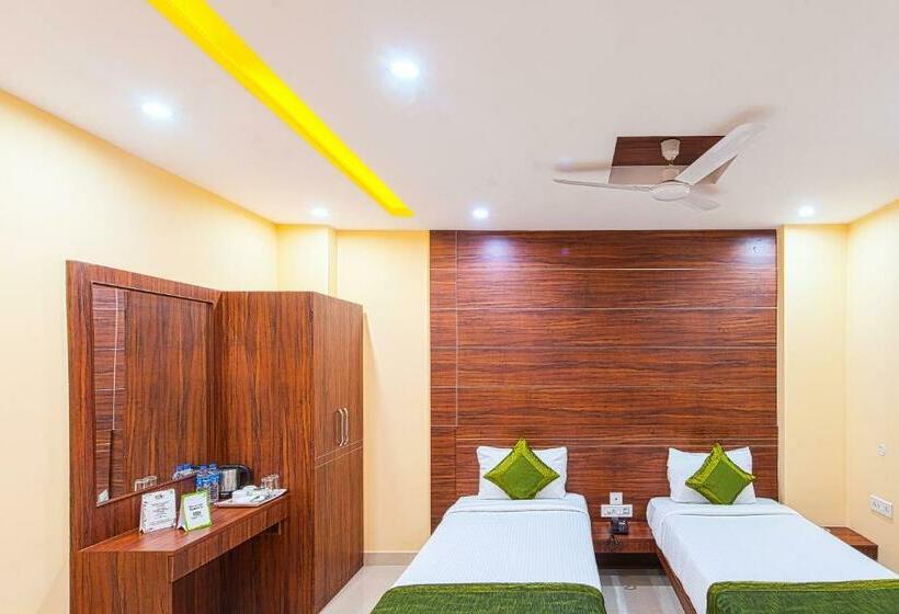 Номер Стандарт, Treebo Globe International