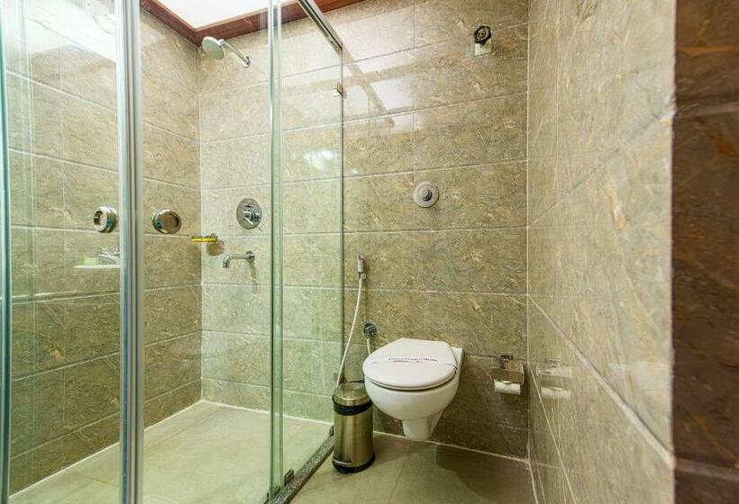 Номер Стандарт, Treebo Globe International