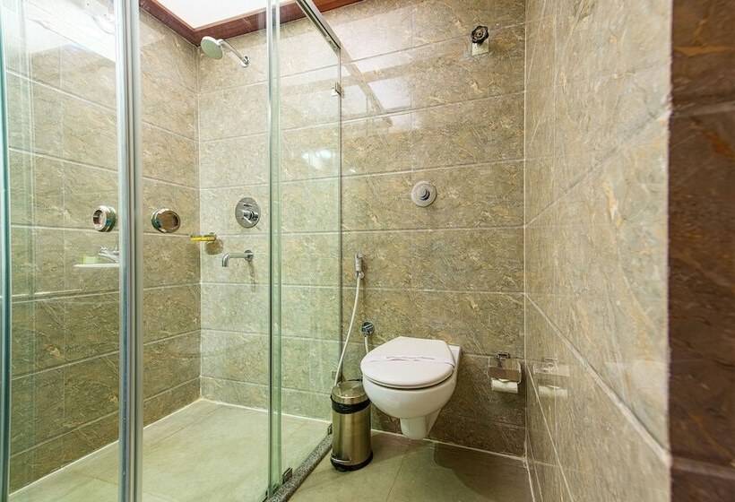 Номер Стандарт, Treebo Globe International