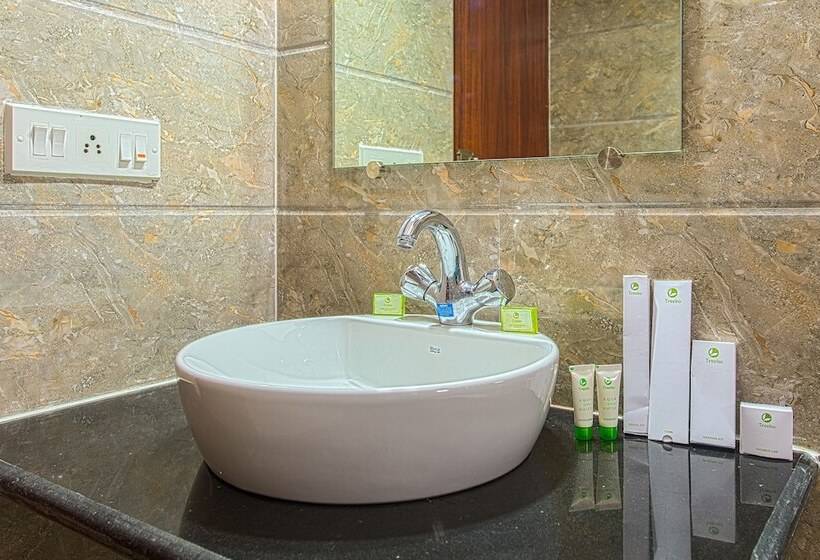 Номер Стандарт, Treebo Globe International