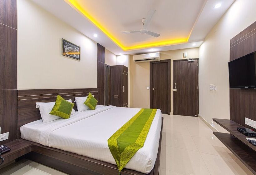 Номер Стандарт, Treebo Globe International