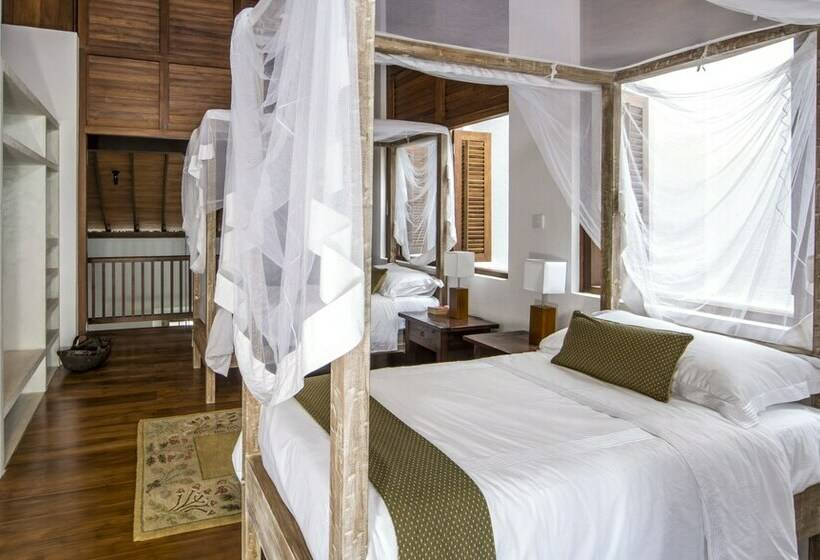 غرفة قياسية, No 05 Middle Street