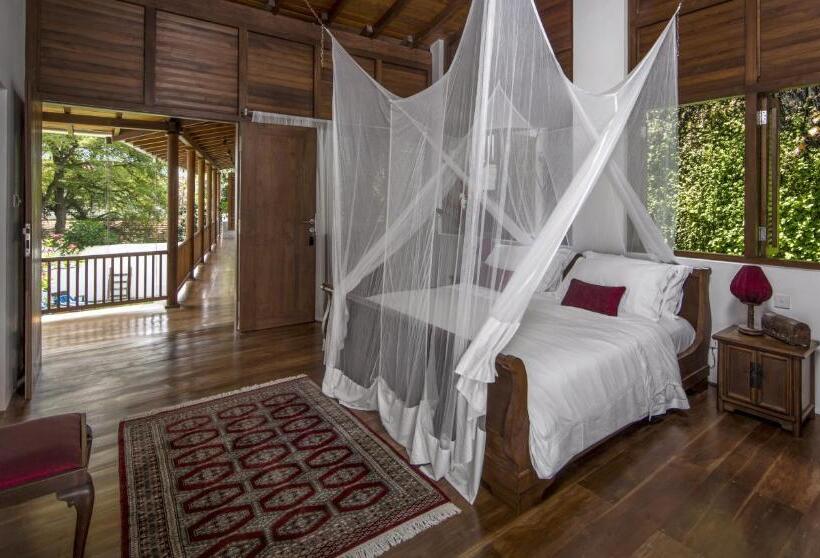 غرفة سوبيريور سرير كينج, No 05 Middle Street