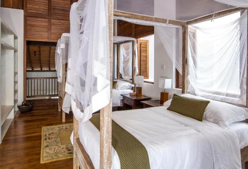 غرفة قياسية, No 05 Middle Street