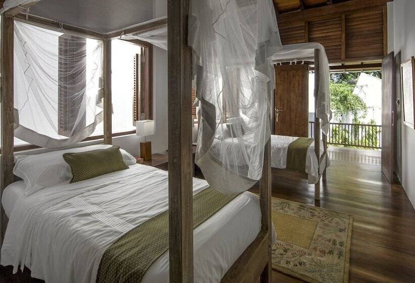 غرفة قياسية, No 05 Middle Street