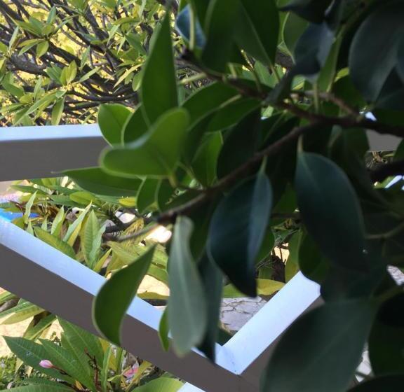 Standaardkamer met Balkon, Gordons Guest House