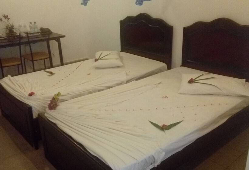 חדר סטנדרט, Centauria City