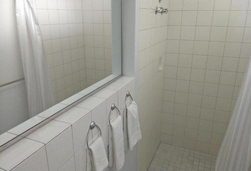 غرفة عائلية, Arkana Motel