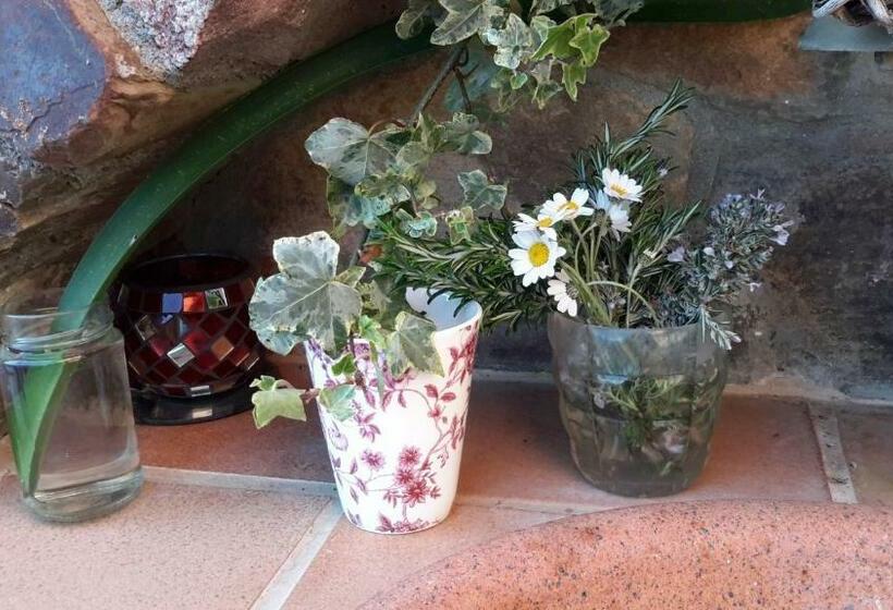 シングルデラックスルーム, La Trucha Del Arco Iris