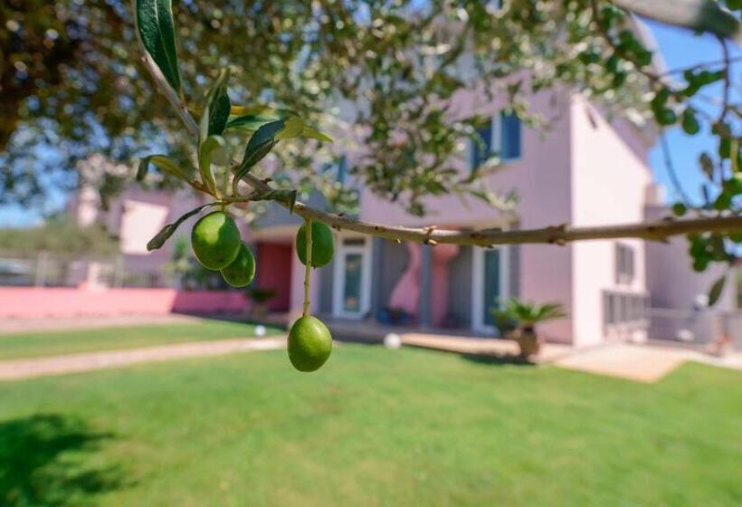 标准间, Villa Rosanna