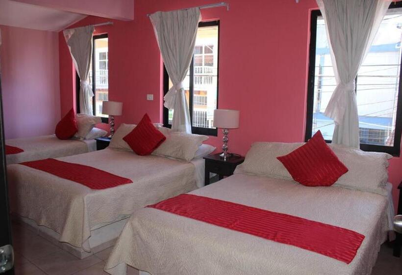 Номер Стандарт Трехместный, Boutique La Orquidea