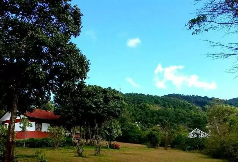 اتاق لوکس, Morning Glory Inn