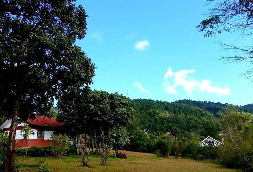 Deluxe Zimmer, Morning Glory Inn