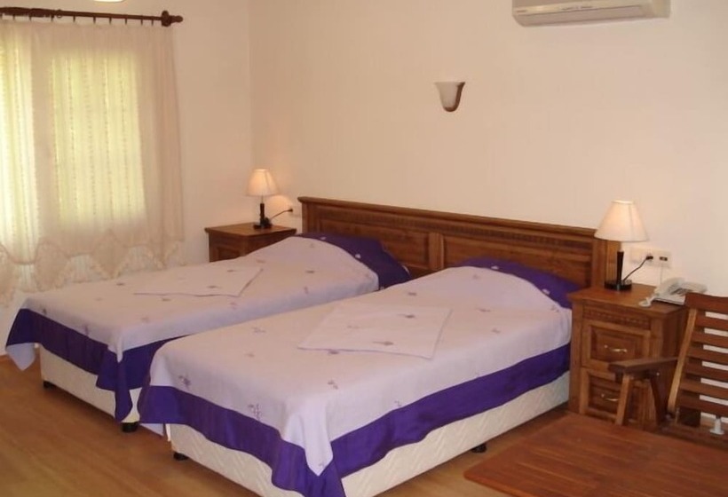 スタンダードルーム, Nirvana