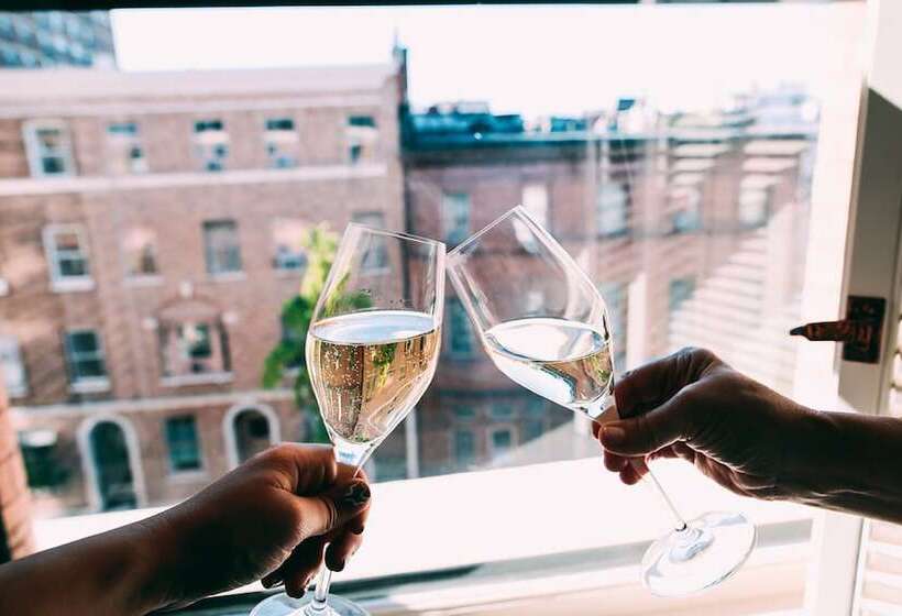 スタンダードルーム, The Ivy