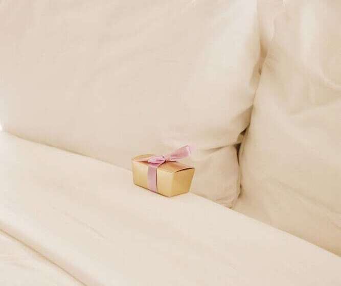 スタンダードルーム, The Ivy