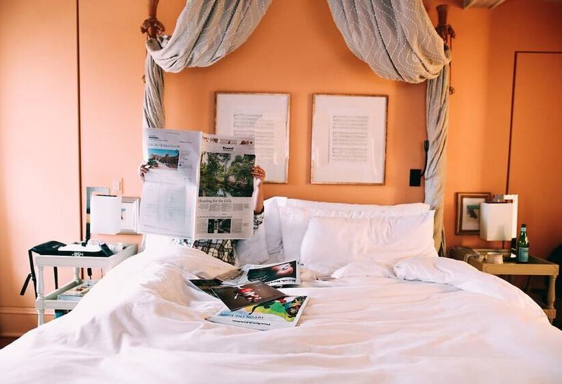 スタンダードルーム, The Ivy