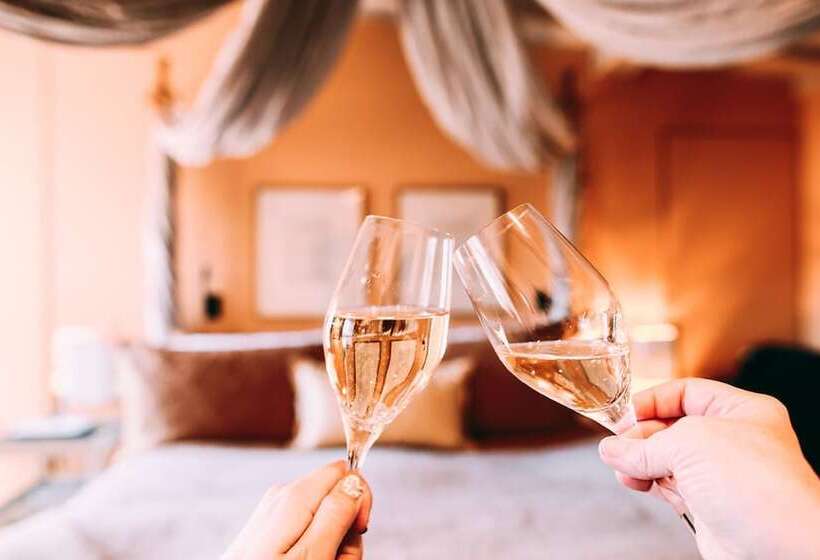 スタンダードルーム, The Ivy