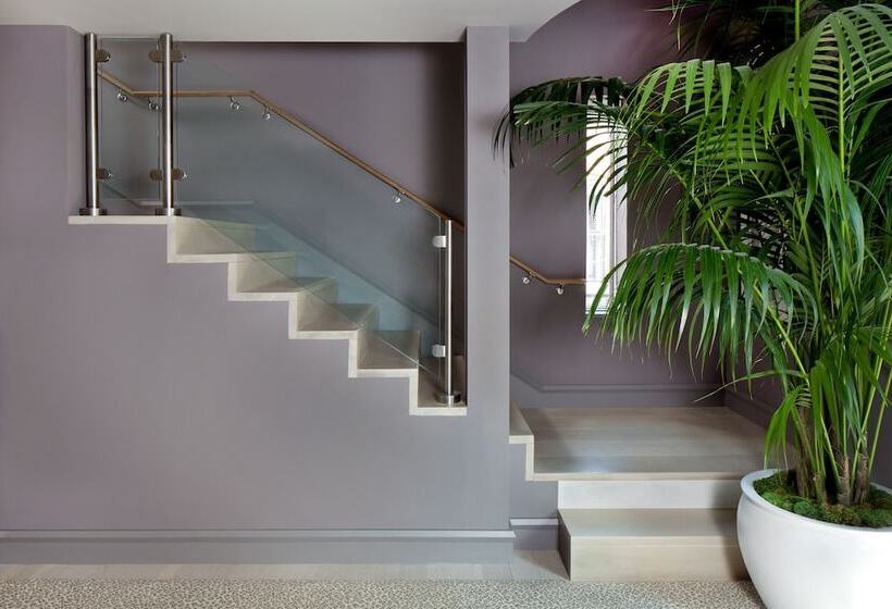 スイート, The Ivy