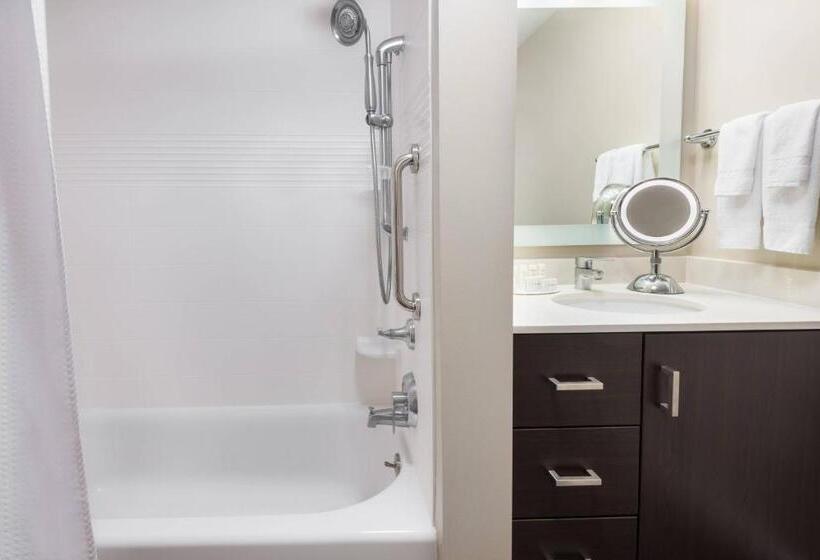 クイーンベッドのスタンダードスタジオ, Towneplace Suites By Marriott Latham Albany Airport