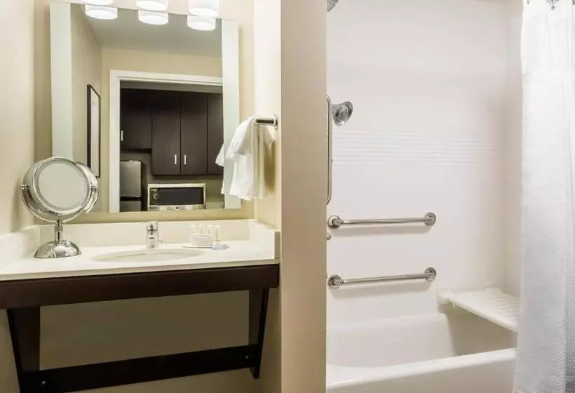 クイーンベッドのスタンダードスタジオ, Towneplace Suites By Marriott Latham Albany Airport