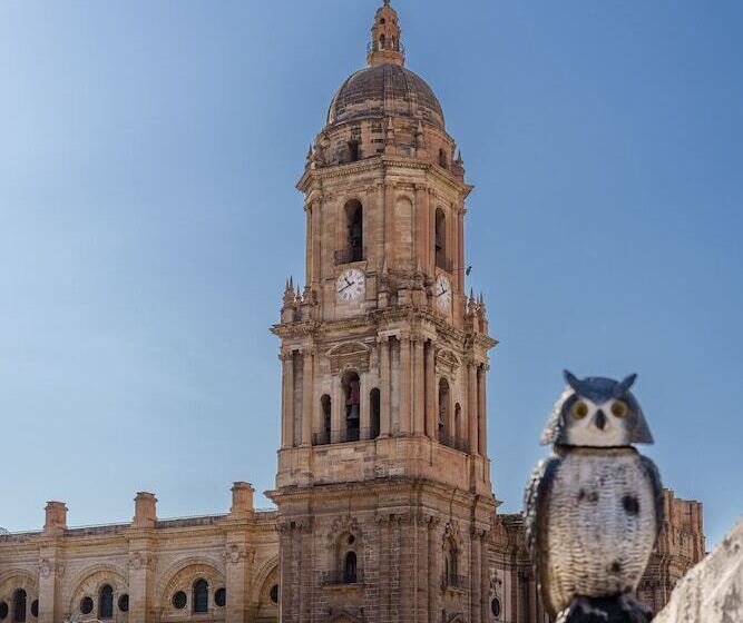 اتاق پنت هاوس, Apartamentos Gibralfaro Centro