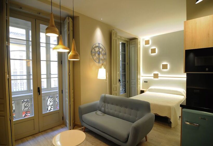 آپارتمان 1 خوابه, Apartamentos Gibralfaro Centro