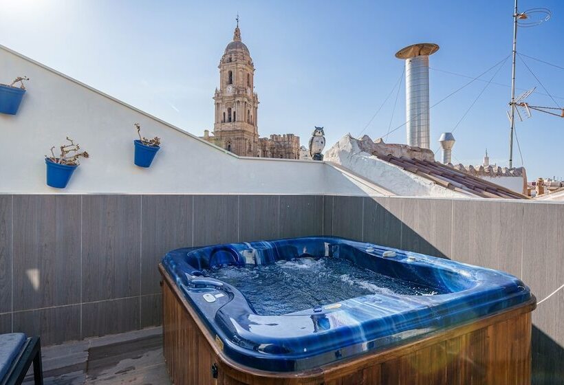 اتاق پنت هاوس, Apartamentos Gibralfaro Centro