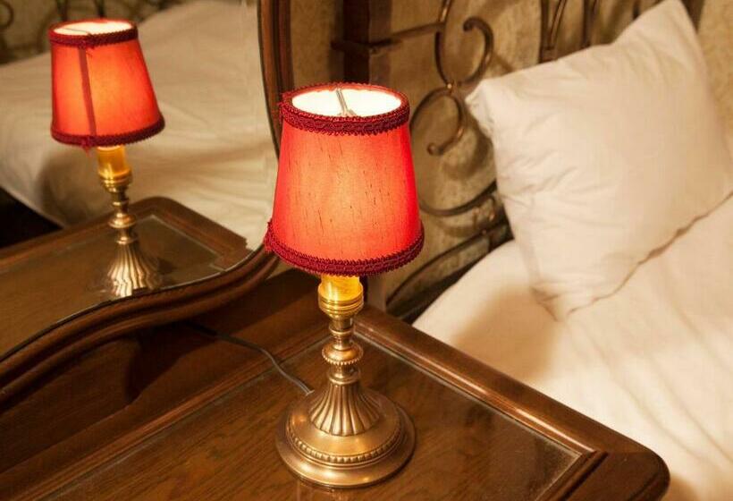 غرفة قياسية فردية, Apartment Hotel Shinjuku