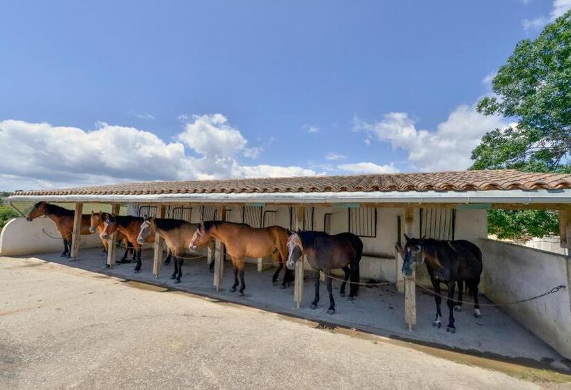 标准间, Domaine De Fraisse