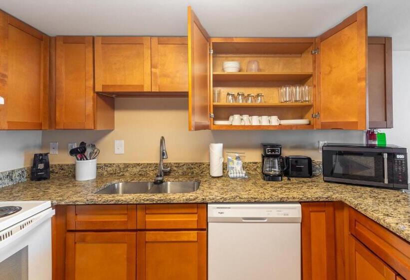 آپارتمان 3 خوابه با چشم‌انداز دریا, Bay Club Resort