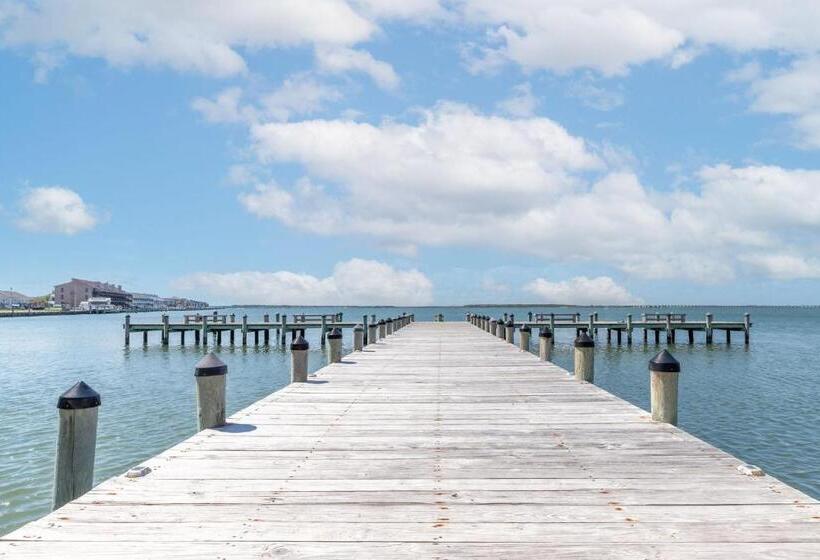 آپارتمان 3 خوابه با چشم‌انداز دریا, Bay Club Resort