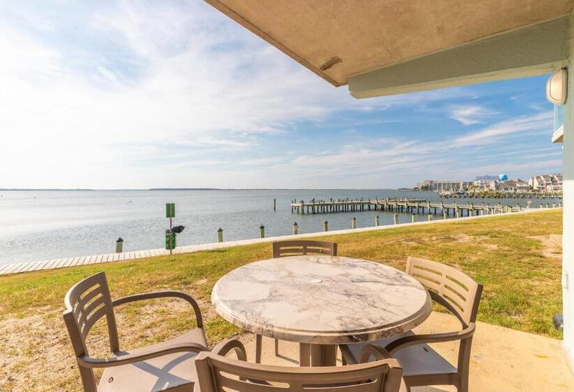 آپارتمان 3 خوابه با چشم‌انداز دریا, Bay Club Resort