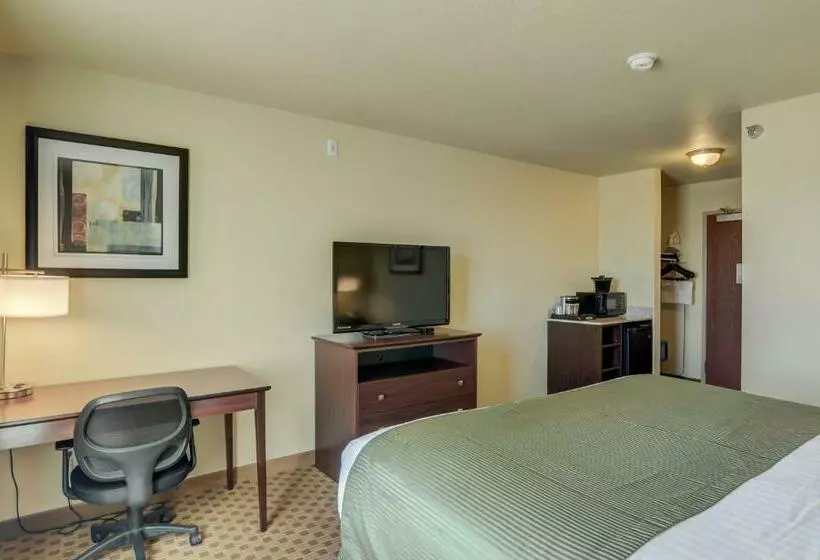 キングサイズベッドのデラックスルーム, Cobblestone Inn And Suites   Eaton