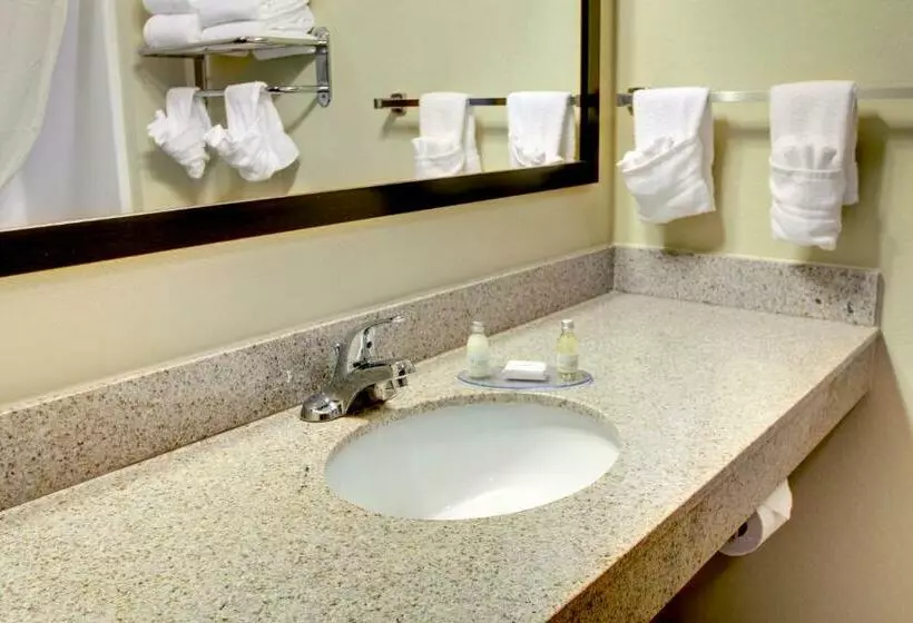 キングサイズベッドのデラックススイート, Cobblestone Inn And Suites   Eaton