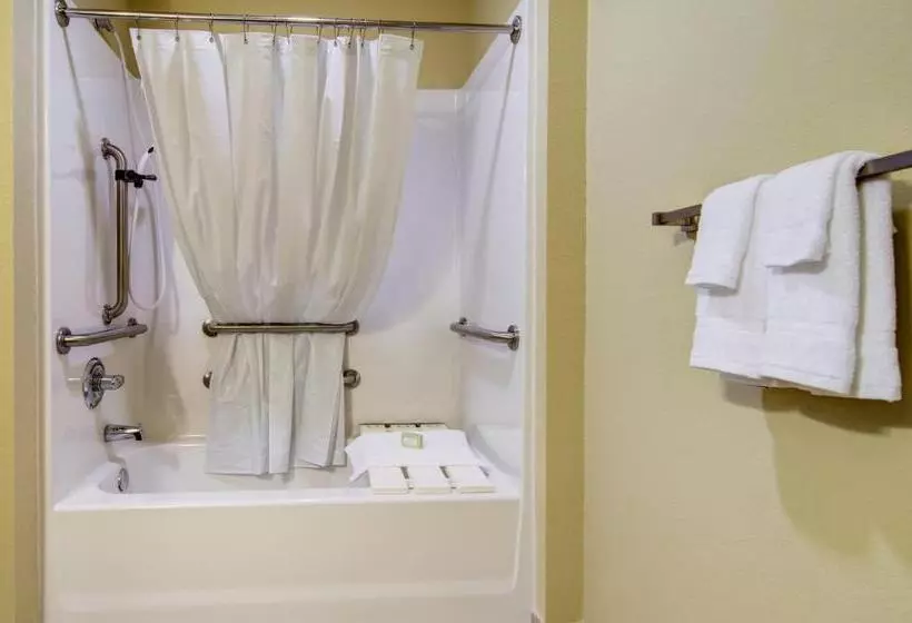 身障者適用スタンダードルーム, Cobblestone Inn And Suites   Eaton