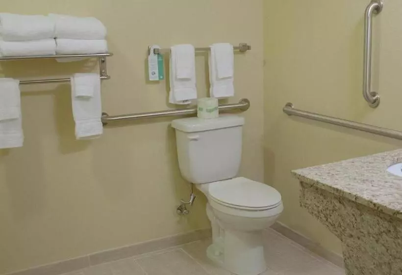 身障者適用スタンダードルーム, Cobblestone Inn And Suites   Eaton